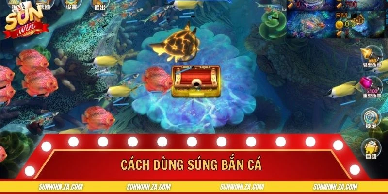 Cách Dùng Súng Bắn Cá - Kinh Nghiệm Hiệu Quả Cho Newbie