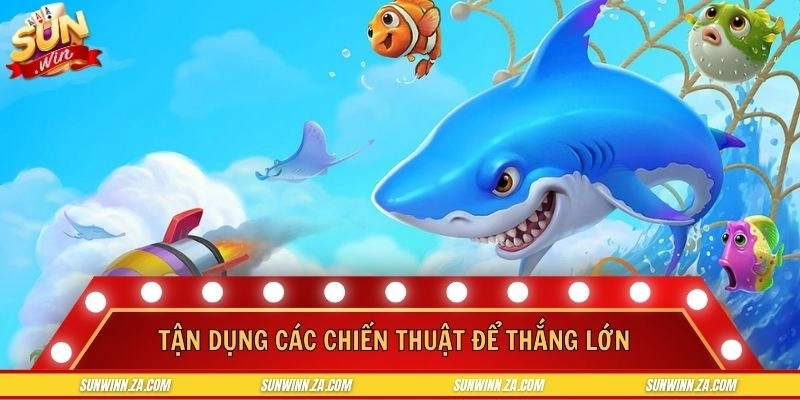 Áp dụng các chiến lược săn sinh vật biển hiệu quả